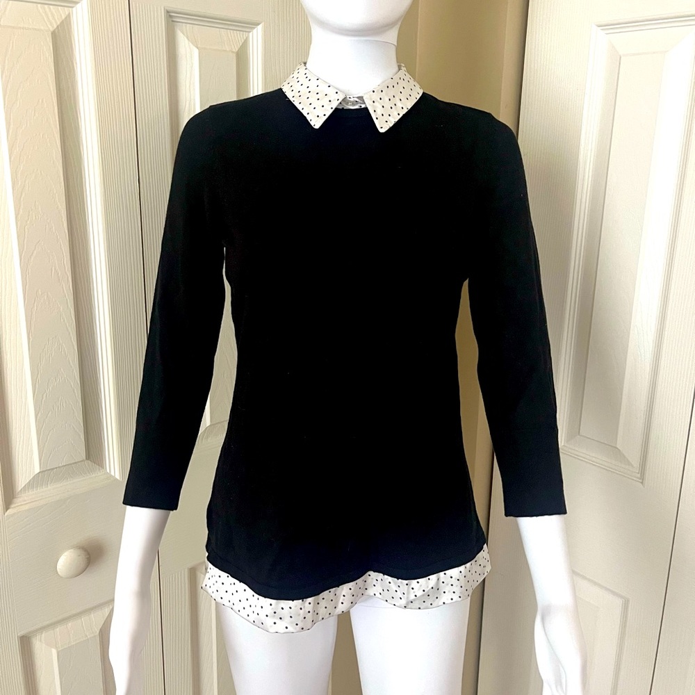 White House Black Market Sweater plus bonus shorts